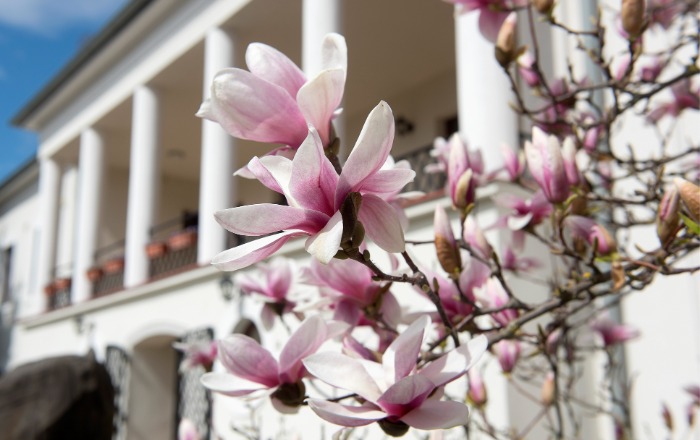  Meghívó a Pedagógus képzőművészeti alkotótábor záró kiállítására