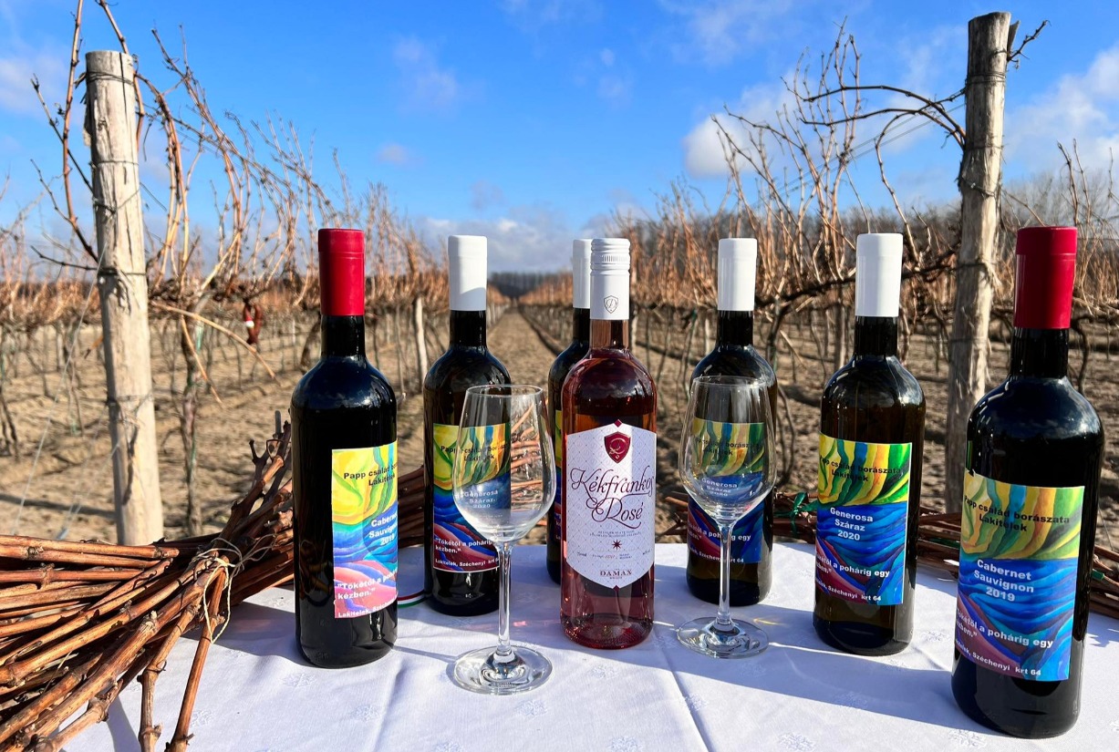 Szőlő és borszentelés