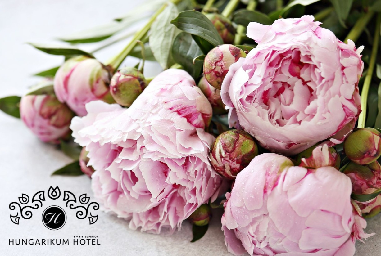 Pünkösdi programok a Hungarikum Ligetben