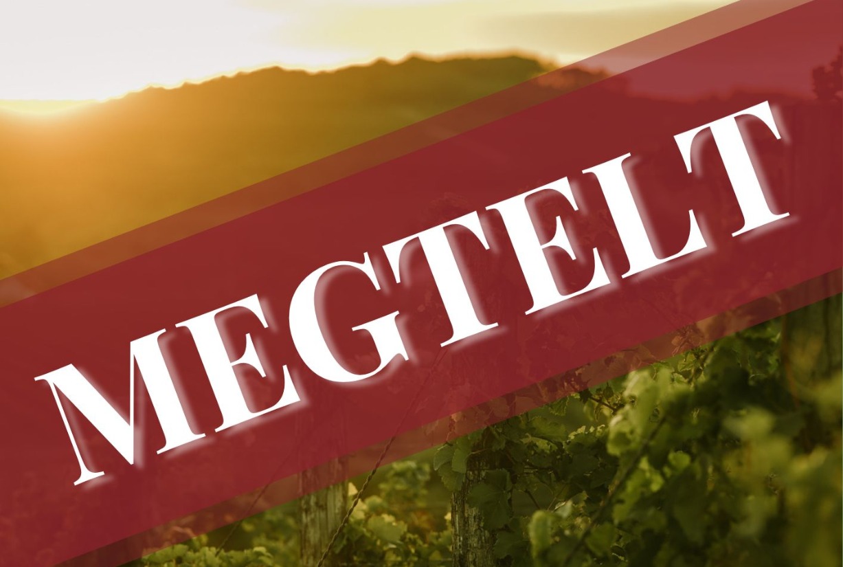 Borkóstoló Debreczeni Mónikával