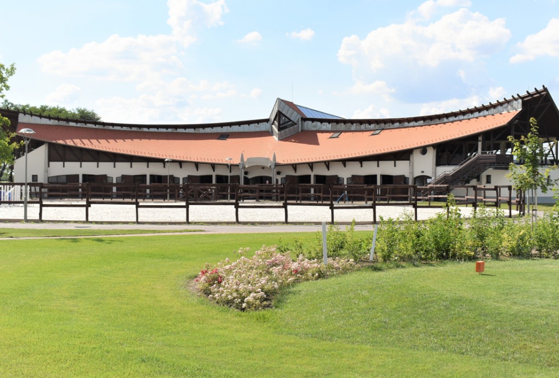 Lepje meg szeretteit lovas élményekkel!