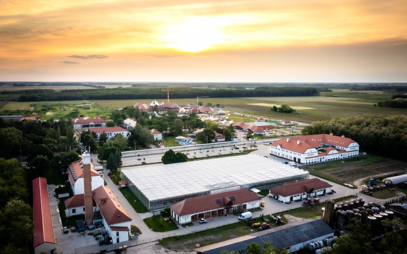 DJI_0974