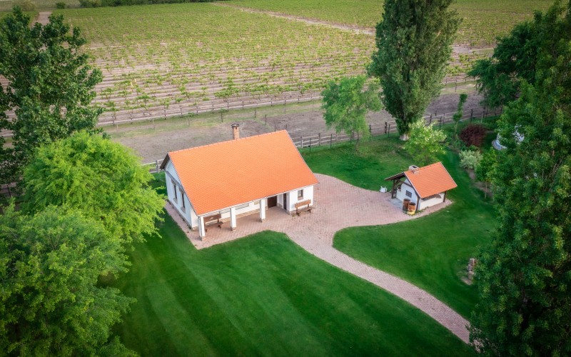 DJI_0996