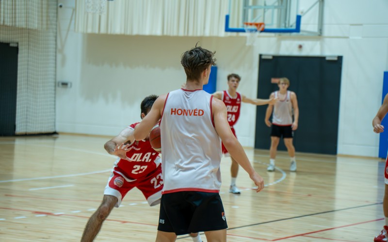 DSC08687-Enhanced-NR