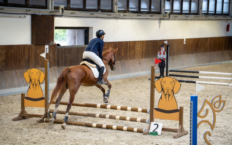 DSC00041-Enhanced-NR