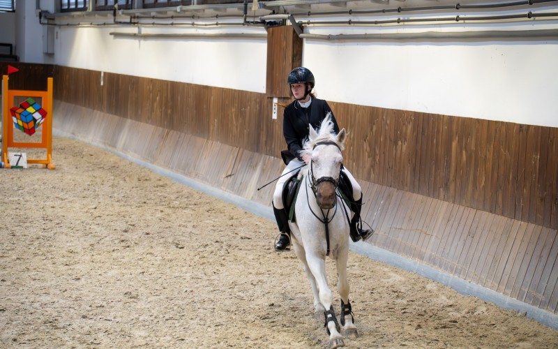 DSC00092-Enhanced-NR