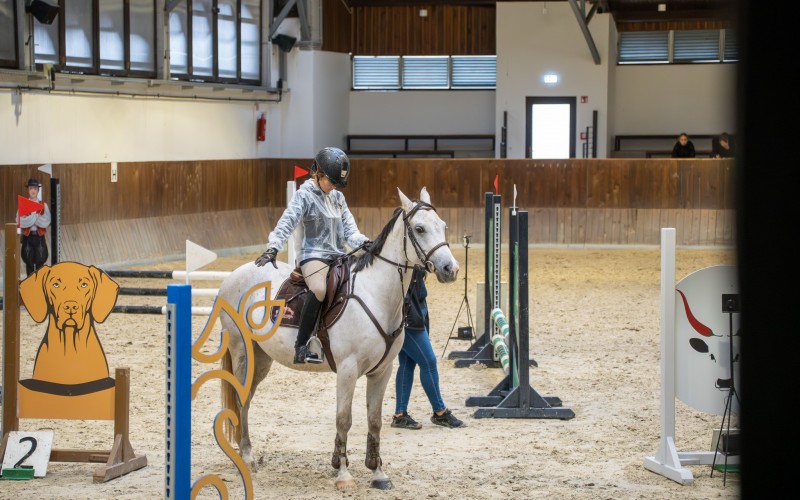 DSC00098-Enhanced-NR