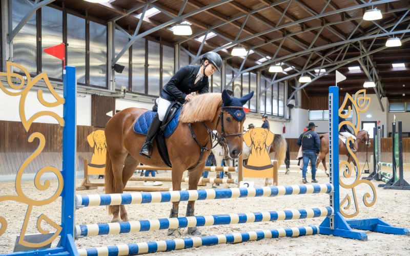 DSC09972-Enhanced-NR