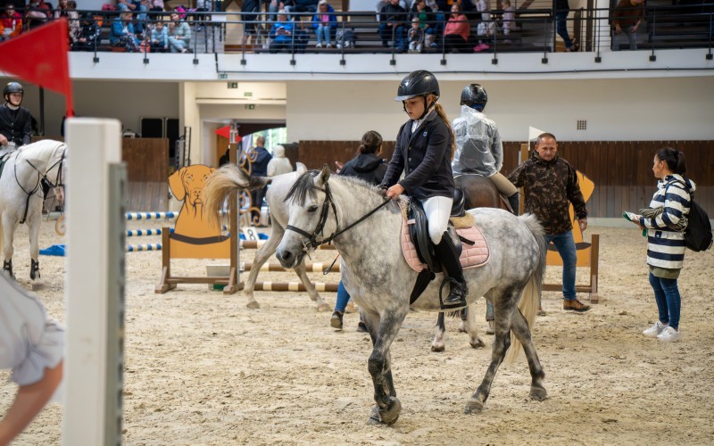 DSC09988-Enhanced-NR